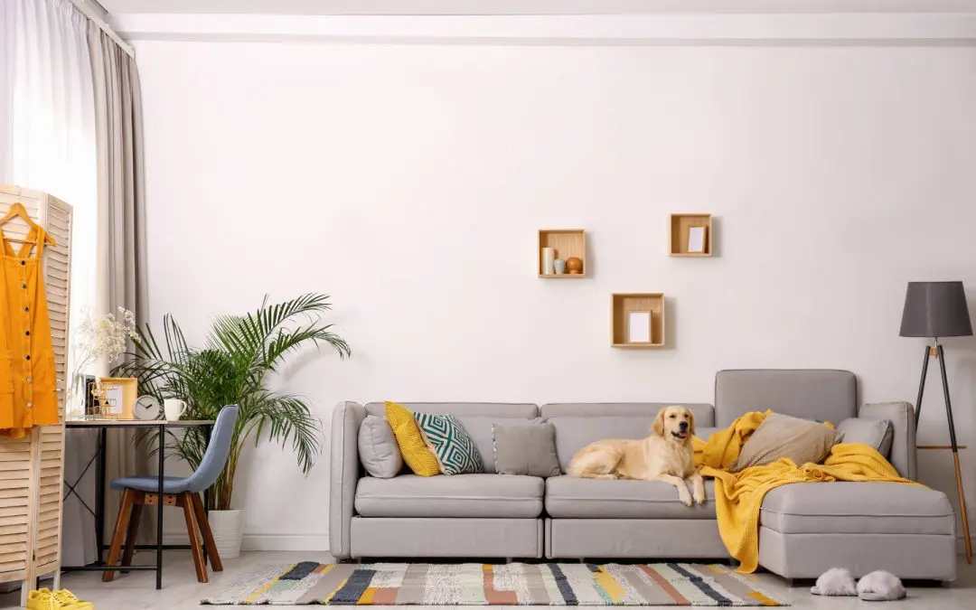Choosing Living Room Furniture: 6 Tips For Homeowners