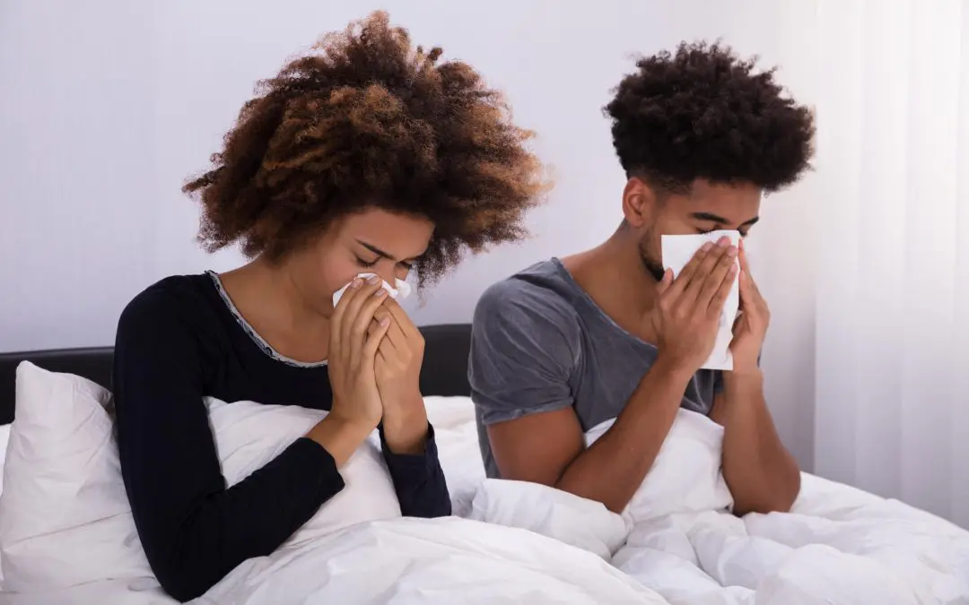 Breathe Easy: The Homeowner’s Complete Guide to Allergy-Proofing Your Home