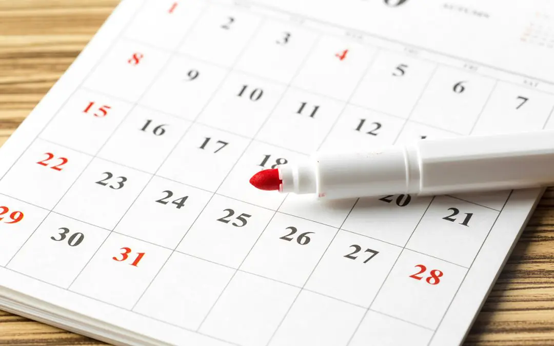 Stay Ahead of the Bills: Your Monthly Home Maintenance Checklist