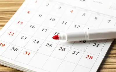 Stay Ahead of the Bills: Your Monthly Home Maintenance Checklist