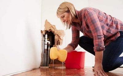 Places to Look for Water Damage in Your Home