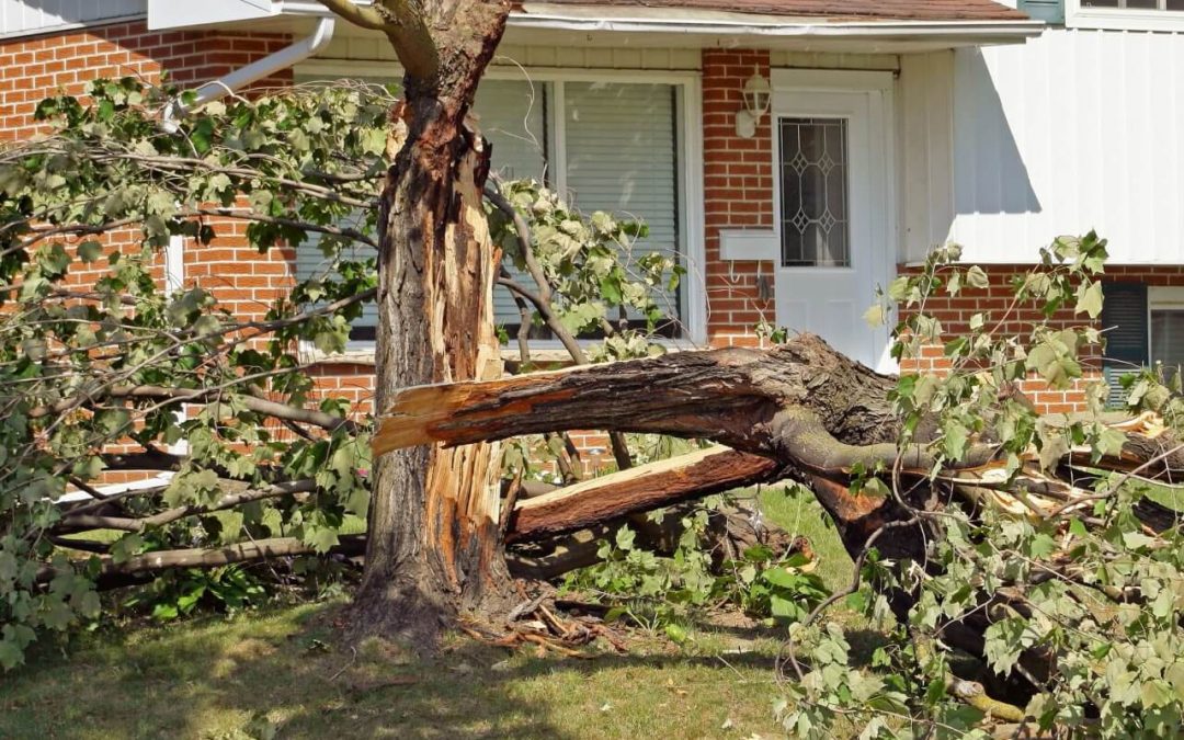 protect your home from wind damage