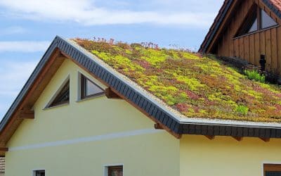 7 Eco-Friendly Home Improvements for a Greener Home